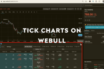 How to Use Tick Charts on Webull